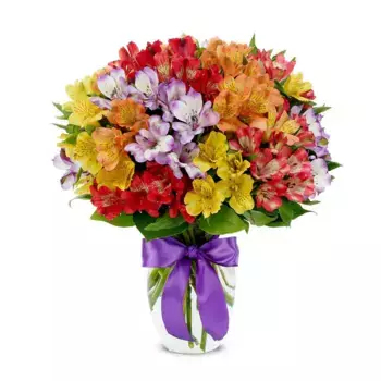 Букет из 51 альстромерии «Каролина»