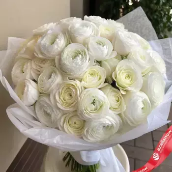 Букет из 51 белого ранункулюса в белой пленке