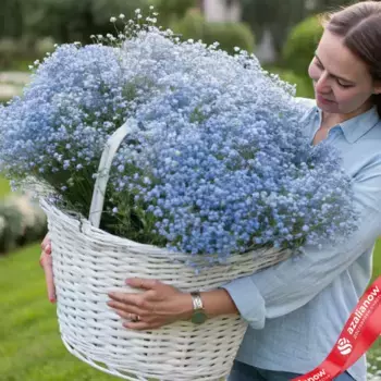 Букет из 51 голубых гипсофил в корзине