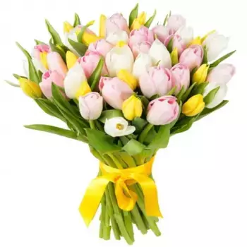 Букет из 51 нежного тюльпана