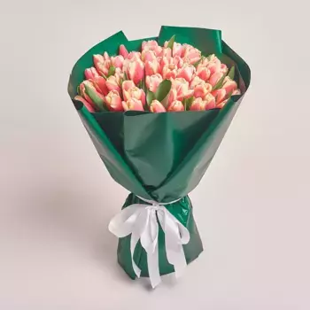 Букет из 51 розово-белого тюльпана в зеленой бумаге