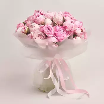 Букет из 51 розового пиона в пленке