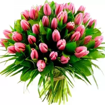 Букет из 51 розового тюльпана с зеленью