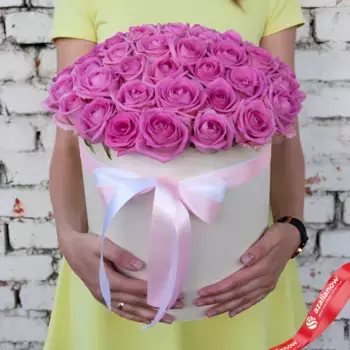 Букет из 51 розовой розы в розовой коробке