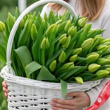 Букет из 51 зеленого тюльпана в корзине, Россия