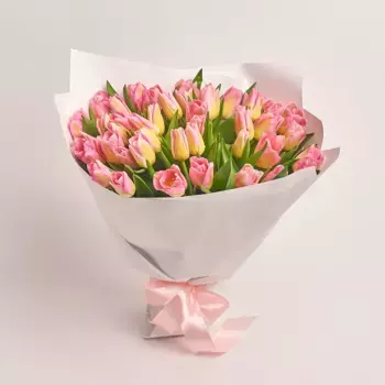 Букет из 51 желто-розового тюльпана в белой бумаге