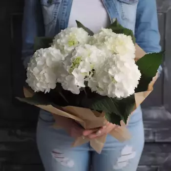 Букет из 5 белых гортензий в крафте