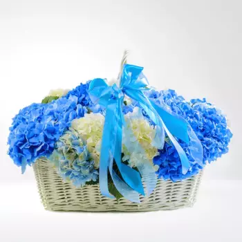Букет из 5 белых и 8 синих гортензий «Церемония»