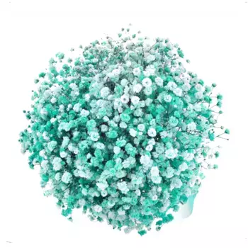 Букет из 5 бирюзовых гипсофил с бирюзовой лентой