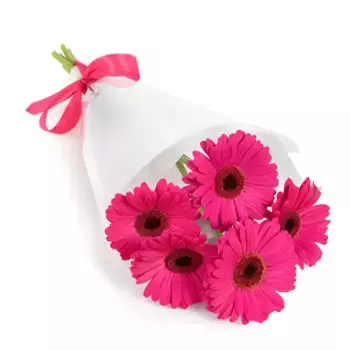 Букет из 5 розовых гербер в белой пленке