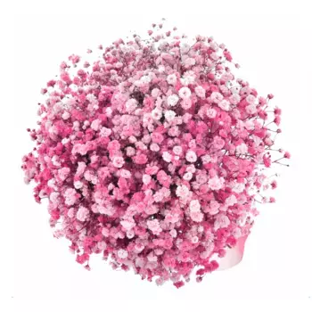 Букет из 5 розовых гипсофил с розовой лентой