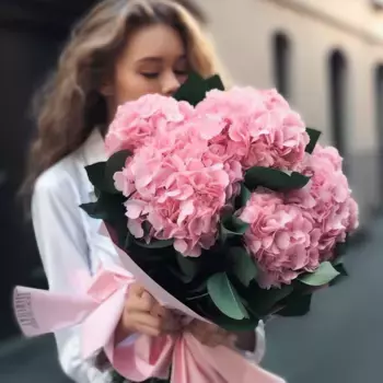 Букет из 5 розовых гортензий в розовой бумаге