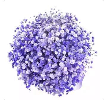 Букет из 5 синих гипсофил с синей лентой