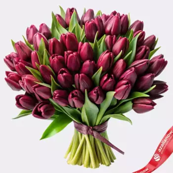 Букет из 60 бордовых тюльпанов, Россия