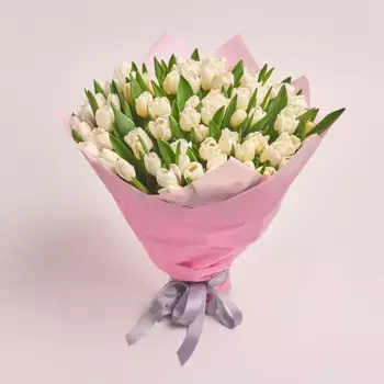 Букет из 75 белых тюльпанов в розовой пленке