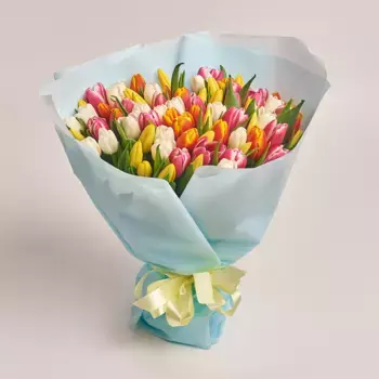 Букет из 75 тюльпанов микс в голубой пленке
