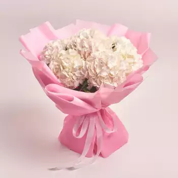 Букет из 7 белых гортензий «Воздушный зефир»