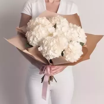 Букет из 7 белых гортензий в крафте