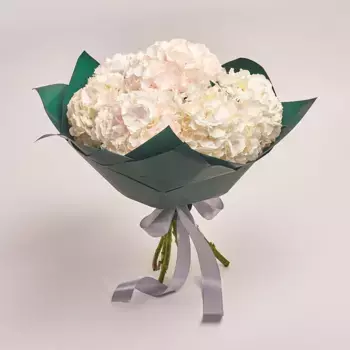 Букет из 7 белых гортензий в зеленой бумаге