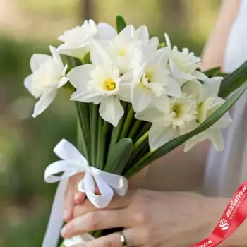 Букет из 7 белых нарциссов с белой лентой