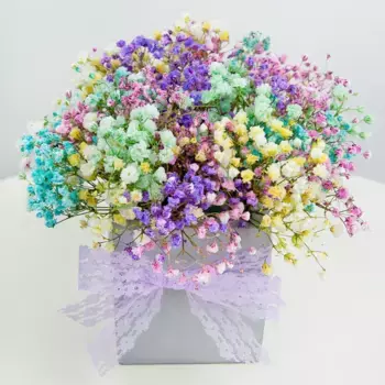 Букет из 7 радужных гипсофил «Звезда»