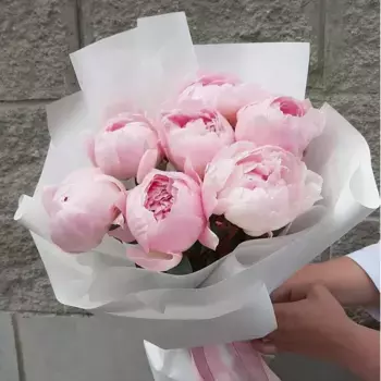 Букет из 7 розовых пионов «Сама нежность»