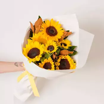 Букет из 7 желтых подсолнухов в белой пленке