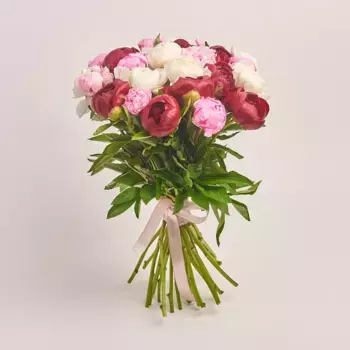 Букет из 8 белых, 8 красных и 9 розовых пионов