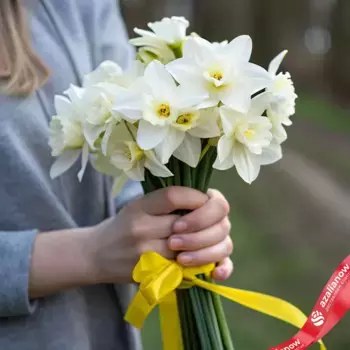 Букет из 9 белых нарциссов с желтой лентой