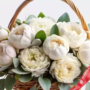 Букет из 9 белых пионов с эвкалиптом в корзине