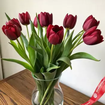 Букет из 9 бордовых тюльпанов, Россия