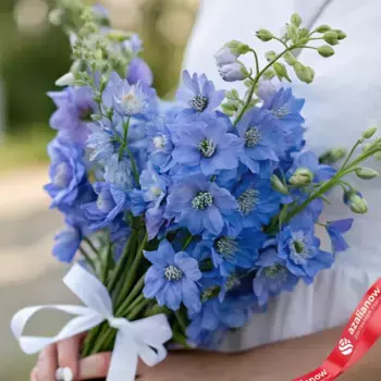 Букет из 9 голубых дельфиниумов с белой лентой