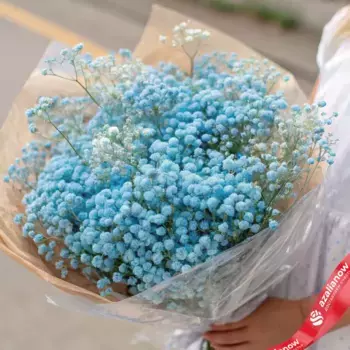 Букет из 9 голубых гипсофил в пленке