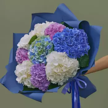 Букет из 9 гортензий микс в синей бумаге