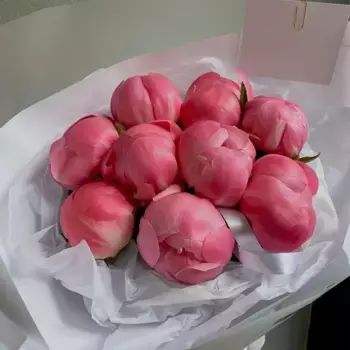 Букет из 9 красных пионов «Малиновое мороженое»