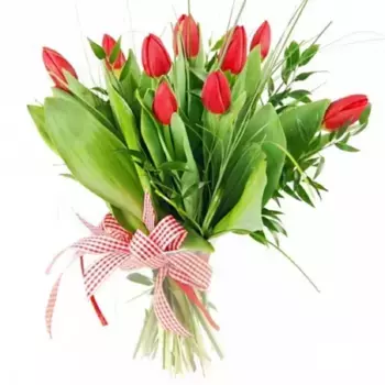 Букет из 9 красных тюльпанов с зеленью