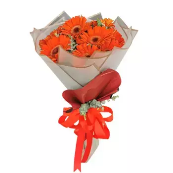 Букет из 9 оранжевых гербер «Оранжевое настроение»