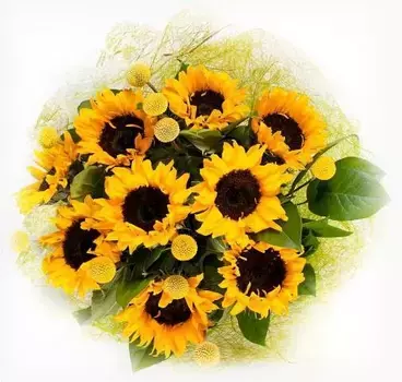 Букет из 9 подсолнухов