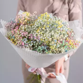 Букет из 9 разноцветных гипсофил в пленке