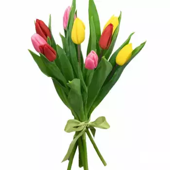 Букет из 9 разноцветных тюльпанов