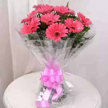 Букет из 9 розовых гербер в прозрачной пленке