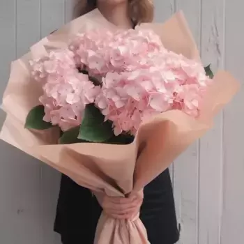 Букет из 9 розовых гортензий в розовой бумаге