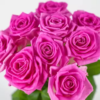 Букет из 9 розовых роз «Флиртую с тобой»