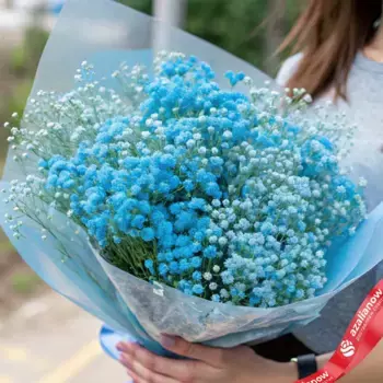 Букет из 9 синих гипсофил в пленке