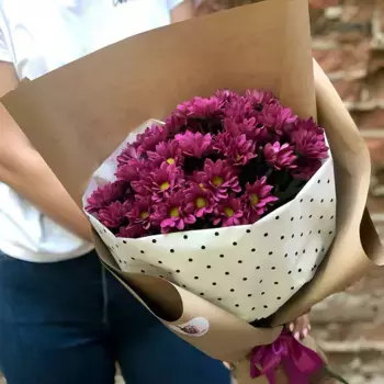 Букет из 9 светло-фиолетовых хризантем «Учение свет»