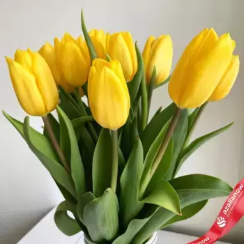 Букет из 9 желтых тюльпанов, Россия