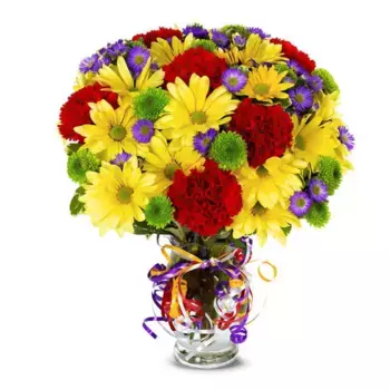 Букет из астр, хризантем, гвоздик «Александра»