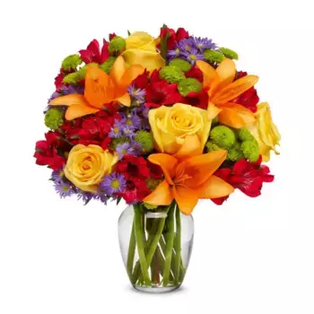 Букет из астр, роз, альстромерий «Ангелина»