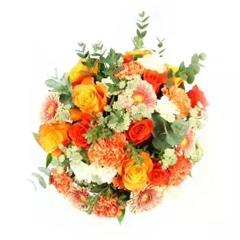 Букет из астранций, роз, гербер и гвоздик «Афина»