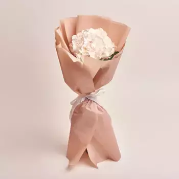 Букет из белой гортензии в бежевой пленке